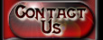 [Link to contacts page]